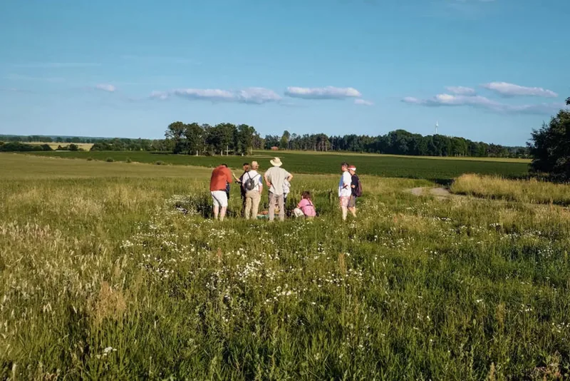 OFFROAD: Knislinge