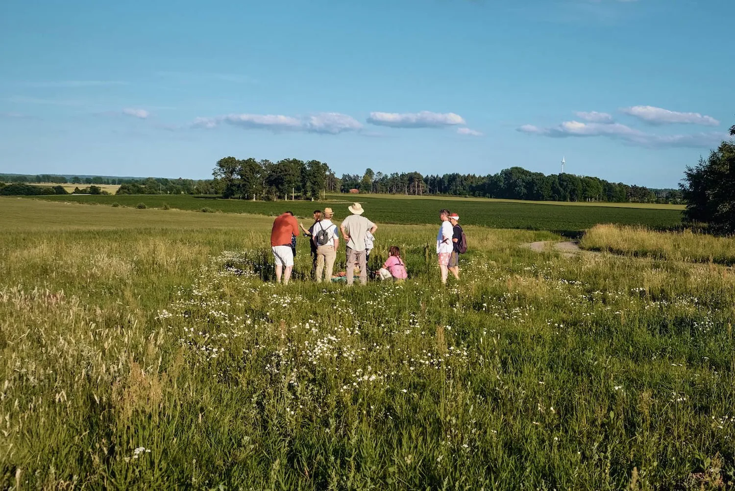 OFFROAD: Knislinge